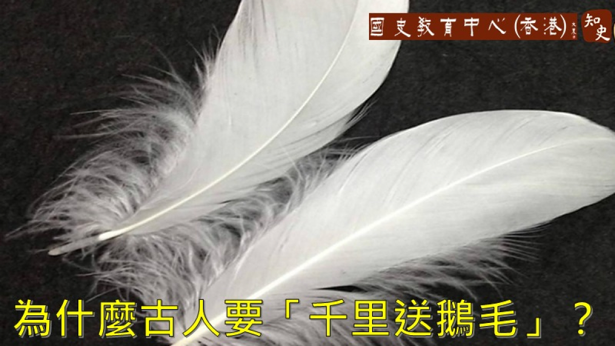 「千里送鵝毛」，古人為什麼要送鵝毛呢？